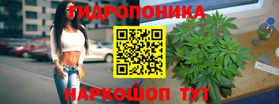 соль ск Шахты