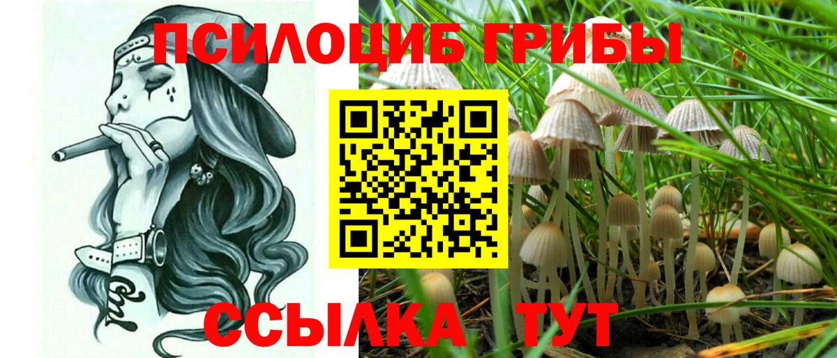 Псилоцибиновые грибы MAGIC MUSHROOMS  Псилоцибиновые грибы GOLDEN TEACHER  Вход с VPN  Благодарный 